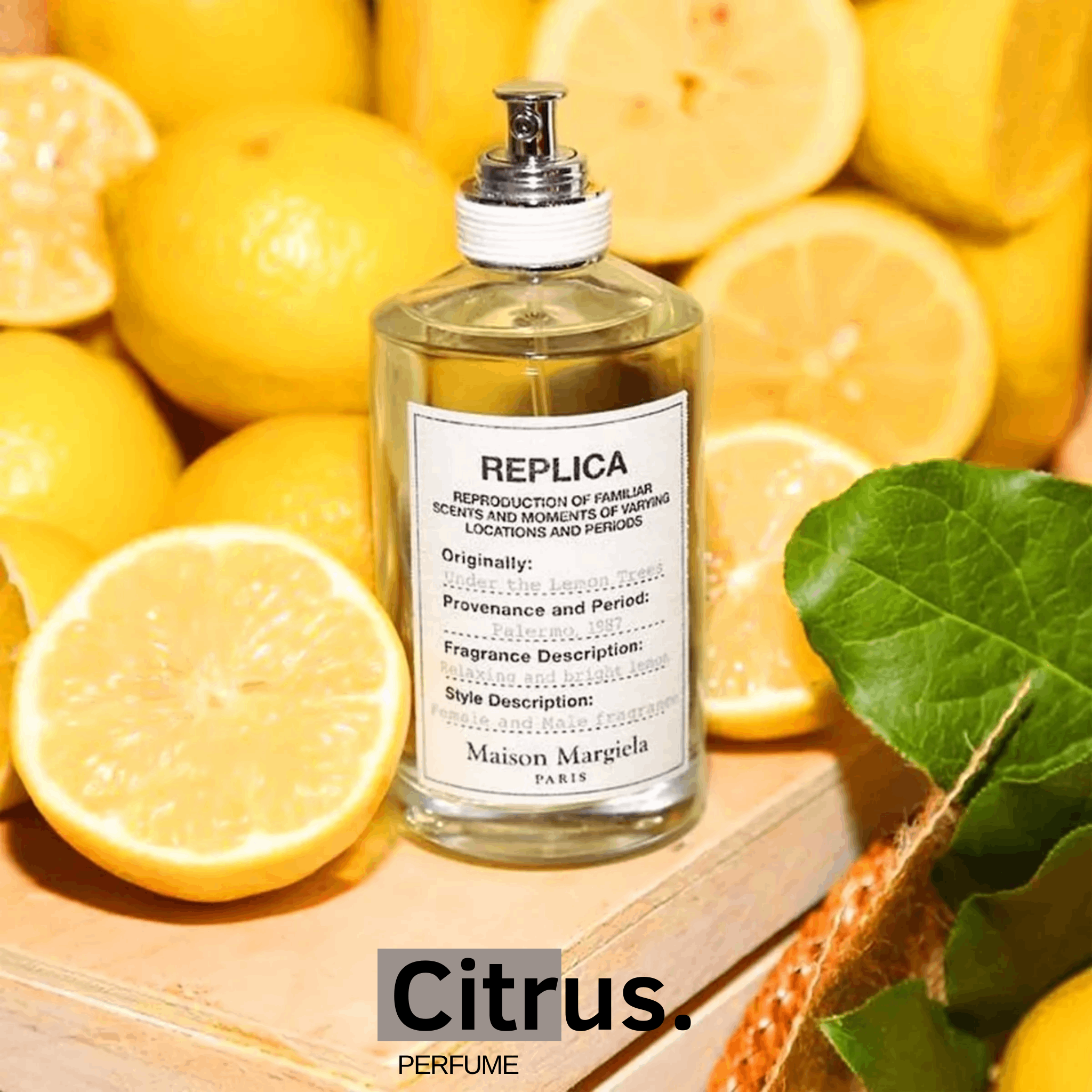 10ml Rep.lica Under the Lemon Tree | Nước hoa unisex | Citrus Perfume