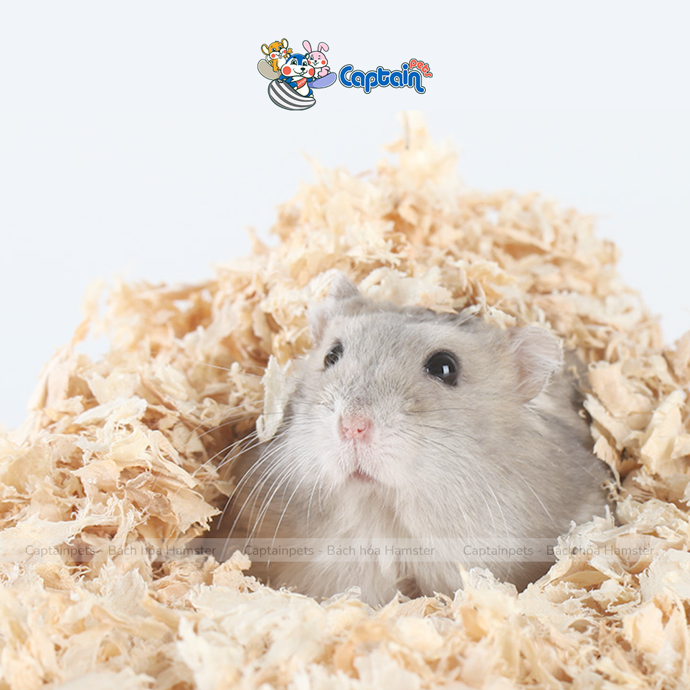 Mùn cưa lót chuồng cho Hamster 1kg - Bách hóa Hamster