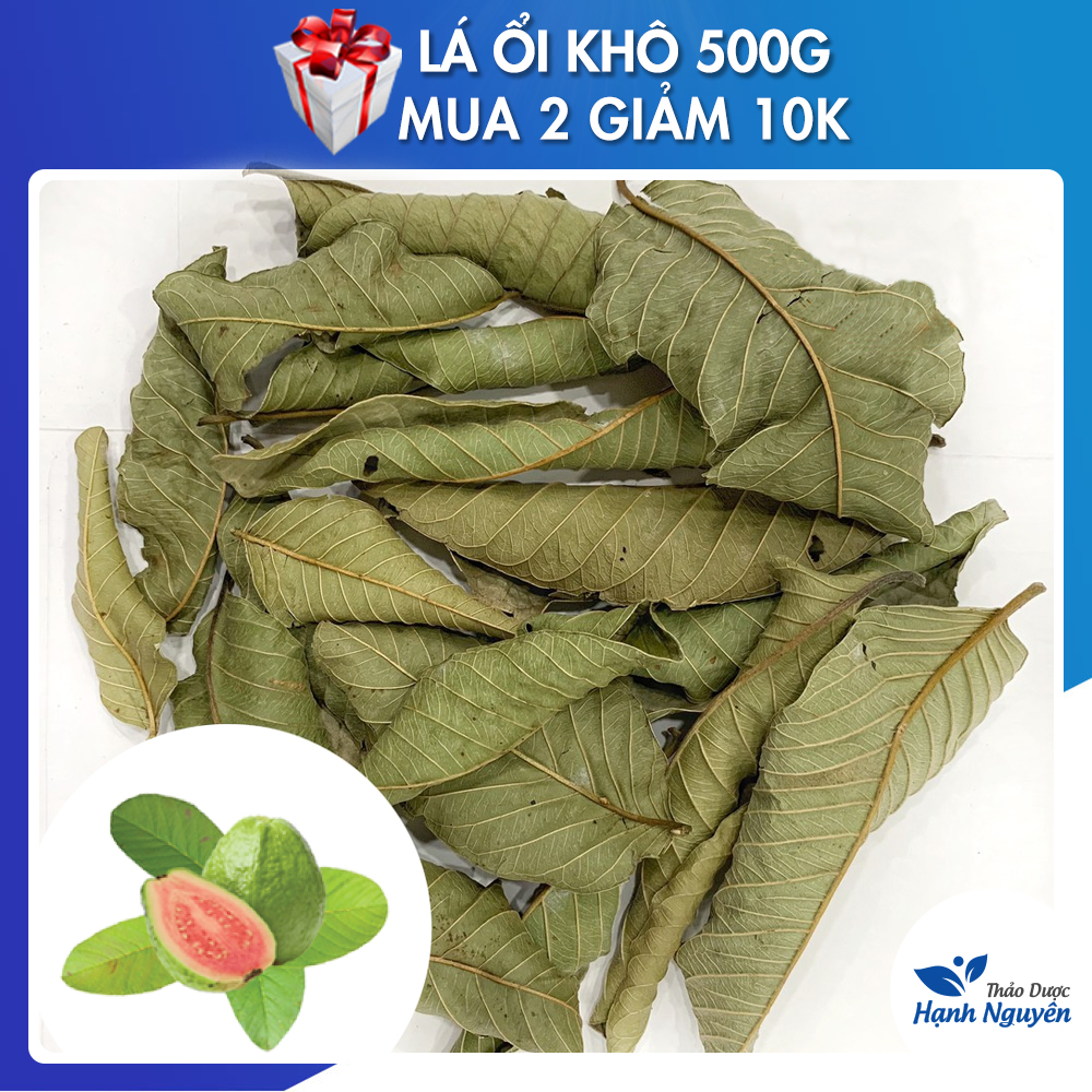 Lá ổi khô giảm cân 500g - thảo dược hạnh nguyên