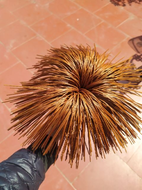 Nan lồng khuyên uốn sẵn (50 nan)