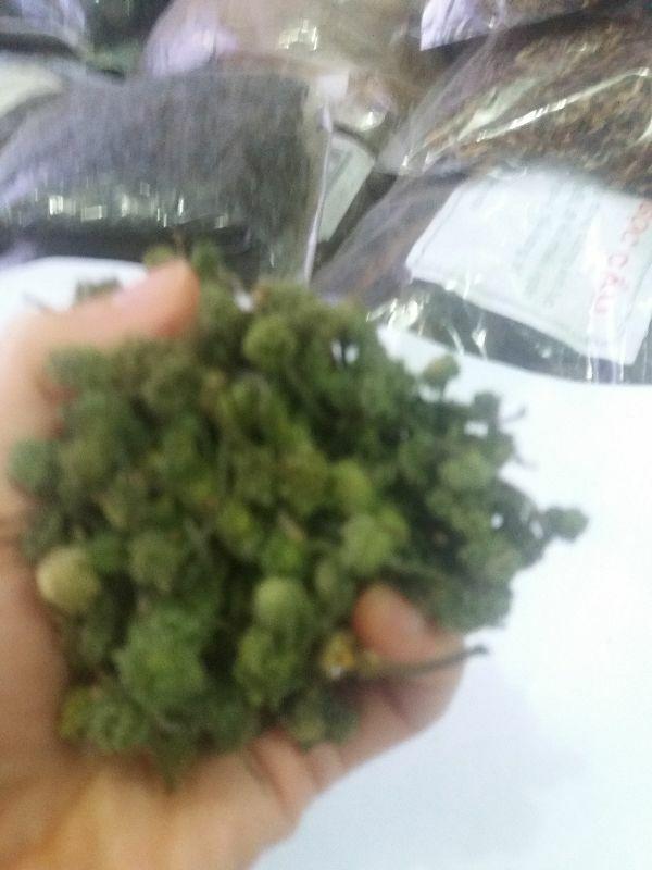 Nụ hoa tam thất khô 500g