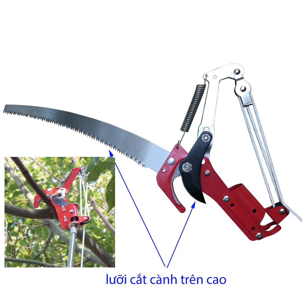 Kéo giật cắt tỉa cành cây trên cao có cưa cành đi kèm dài 3.5 mét loại giật dây có màu đỏ
