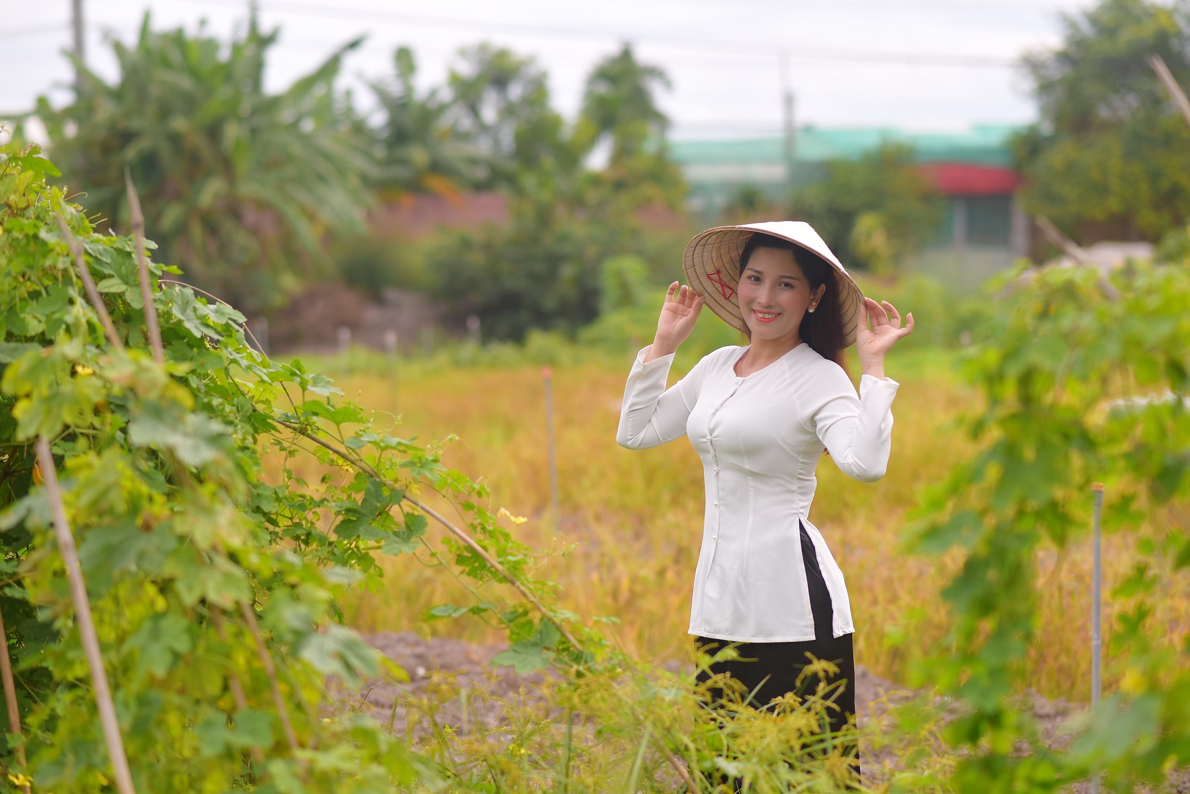 BÀ BA TRƠN CỔ TRÒN LỤA TẦM Ý (KÈM QUẦN)