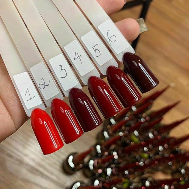 Sơn Gel Mxbon 6 Màu Đỏ Đẹp Hot - sinailmi