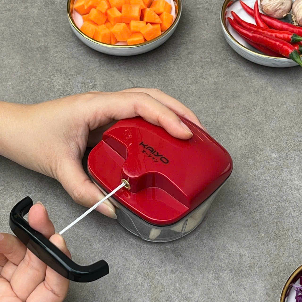Kaiyo Premium Garlic Chopper Manual Kitchen Tool