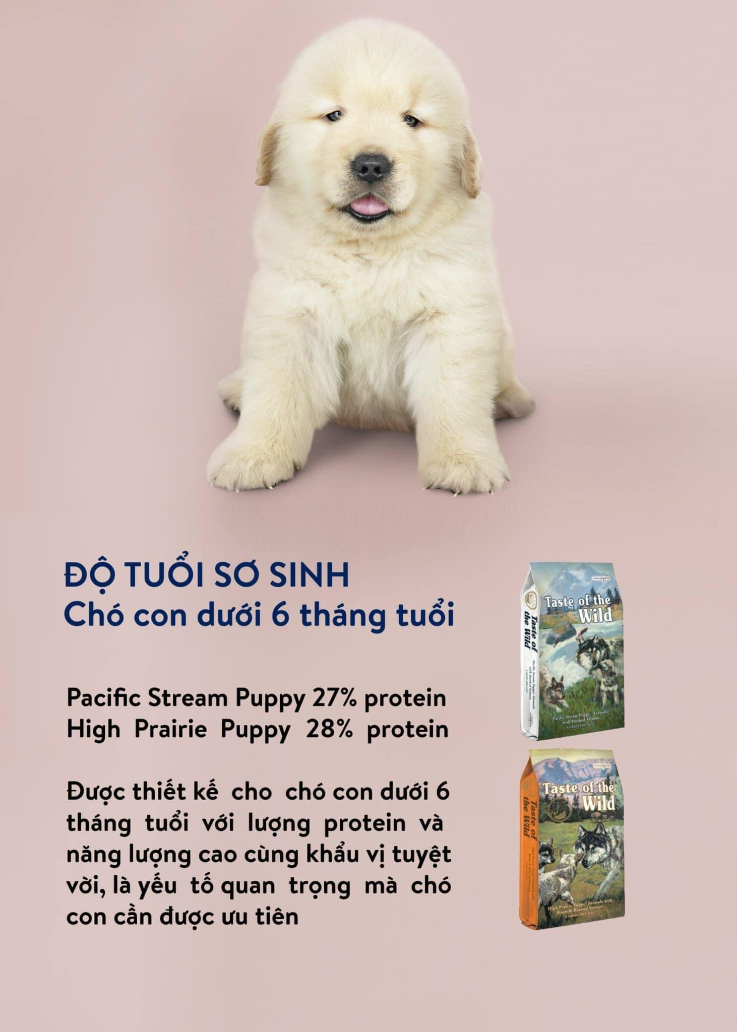 Hạt chó TASTE OF THE WILD (bao nguyên seal 2kg)