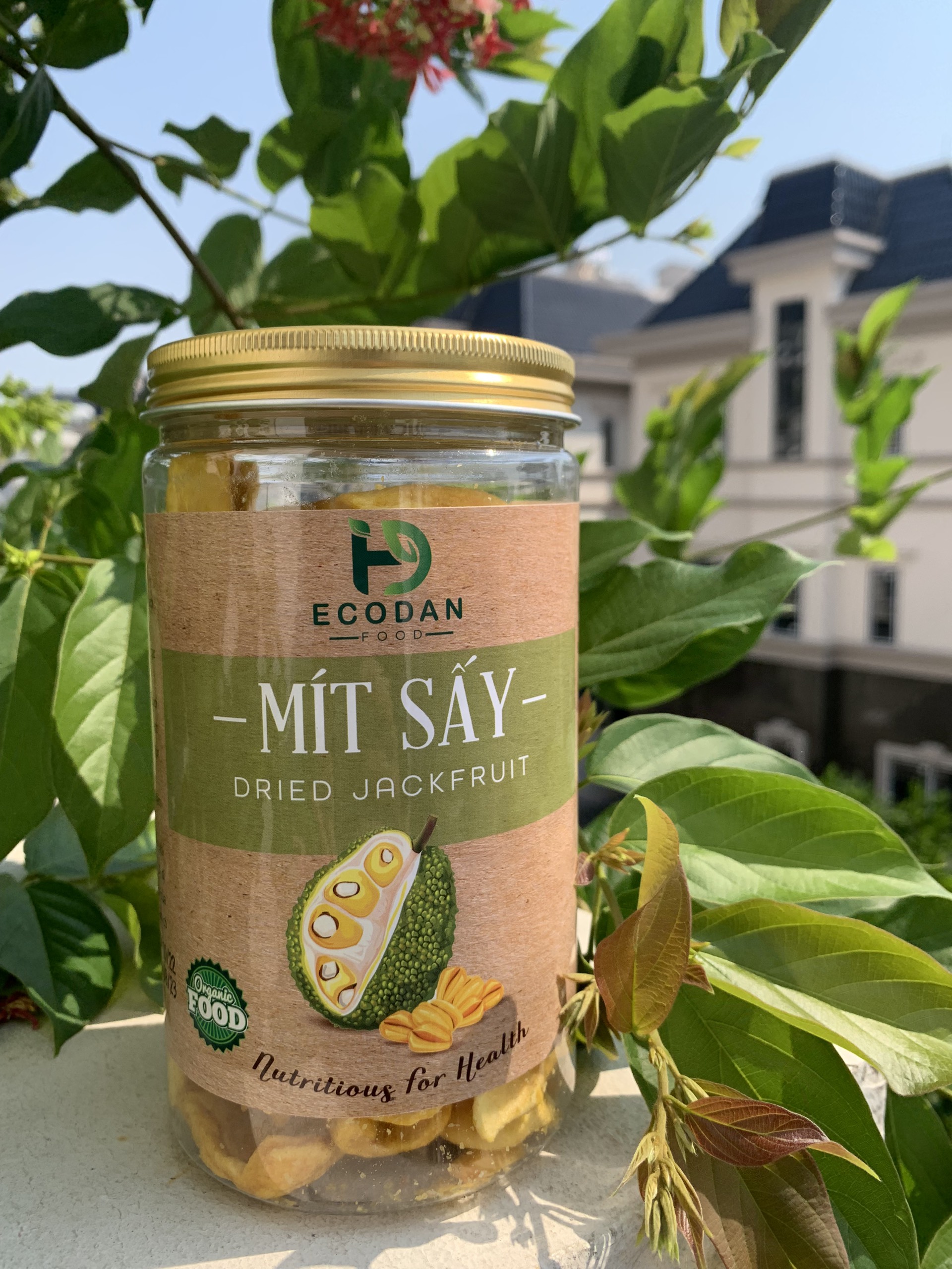 Mít Sấy Ecodan Food