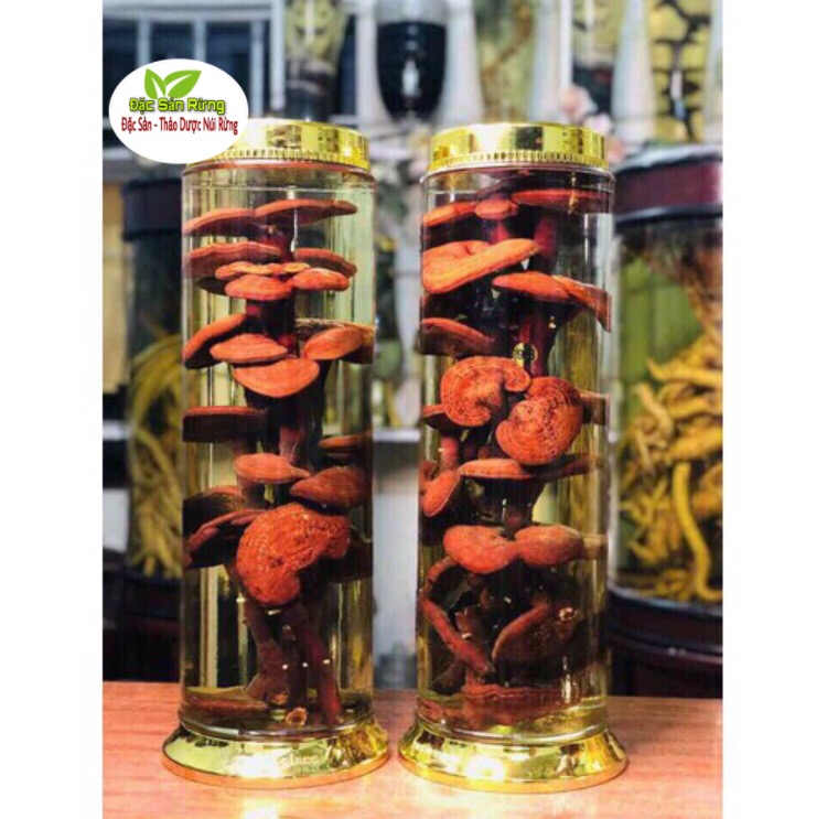 Nấm Linh Chi Đỏ - Đặc Sản Rừng ( gói 500gr )