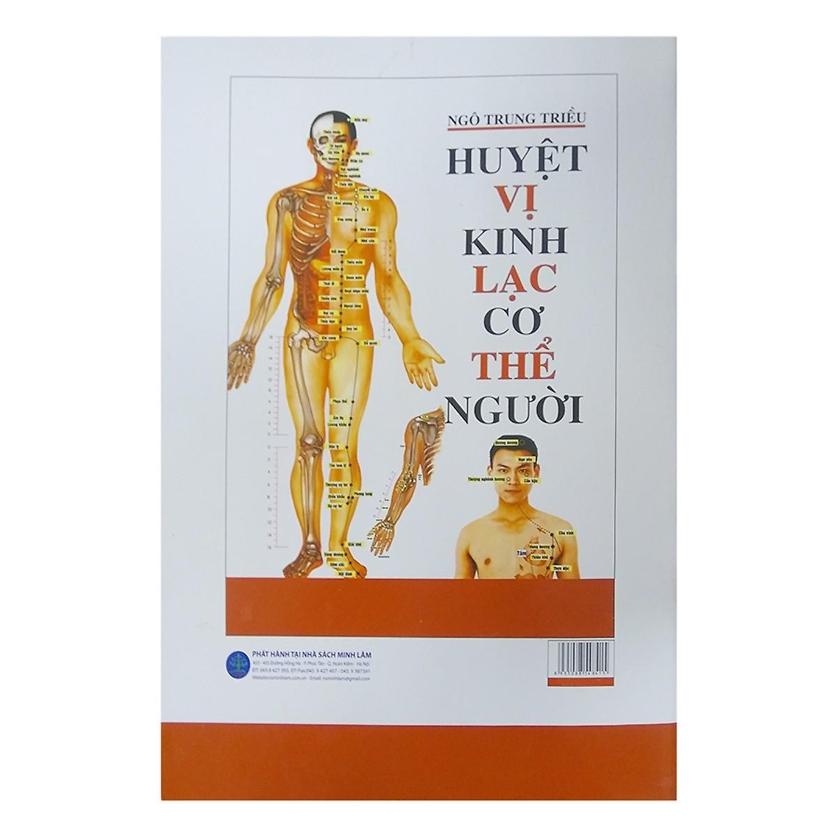 Huyệt Vị Kinh Lạc Cơ Thể Người