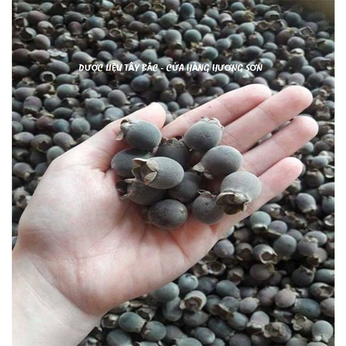 QUẢ SIM RỪNG KHÔ TÂY BẮC (1kg)