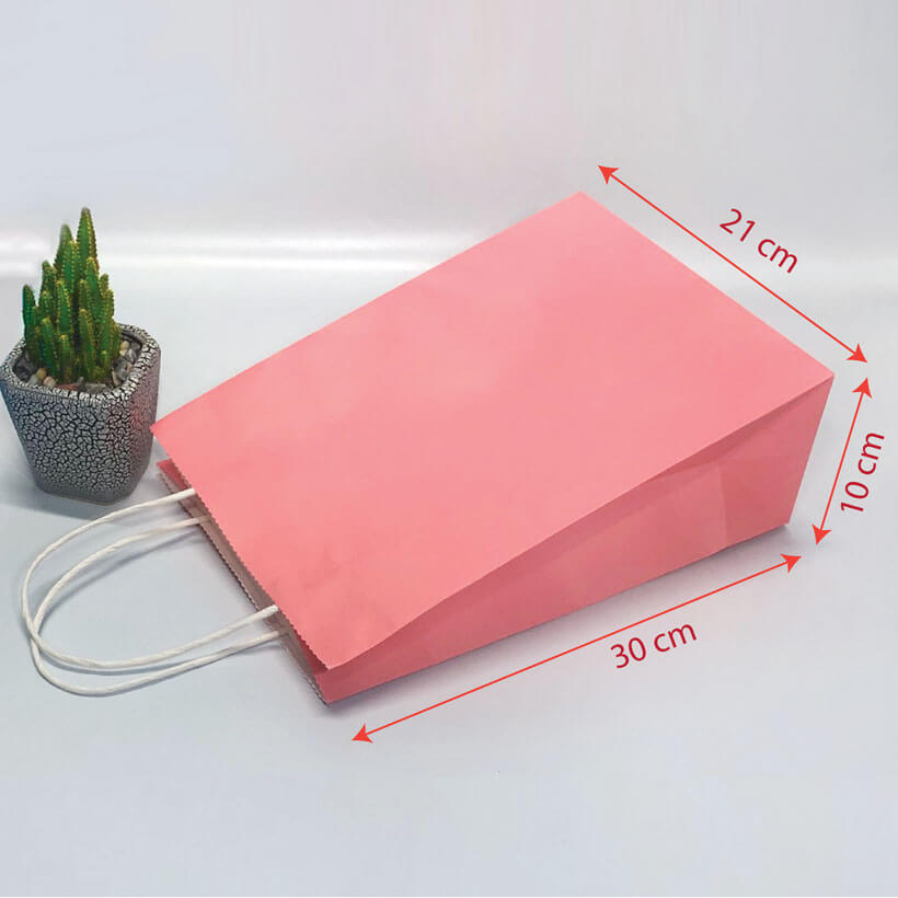 Combo 10 Túi Quai Giấy trơn KT09T (30 x 21 x 10)