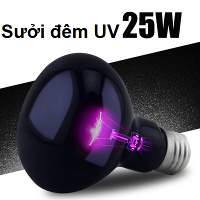 Đèn UVA sưởi đêm cho bò sát thương hiệu nomoy