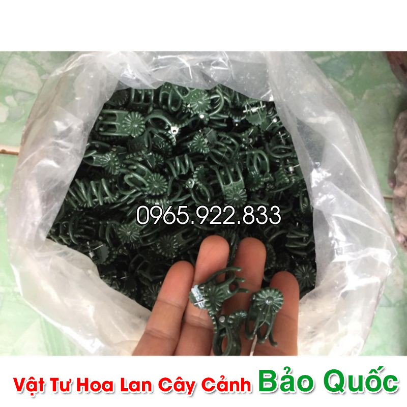 Kẹp Bướm Lan cỡ Trung (5 chiếc) cố định cây lan