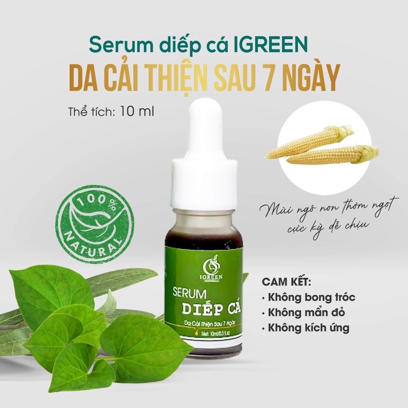 Serum Diếp Cá