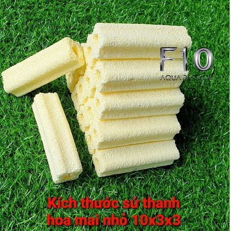 Sứ lọc Sứ thanh Sứ thanh hoa mai Sứ thanh hoa mai vàng vật liệu lọc bể cá kich thước 10x3x3