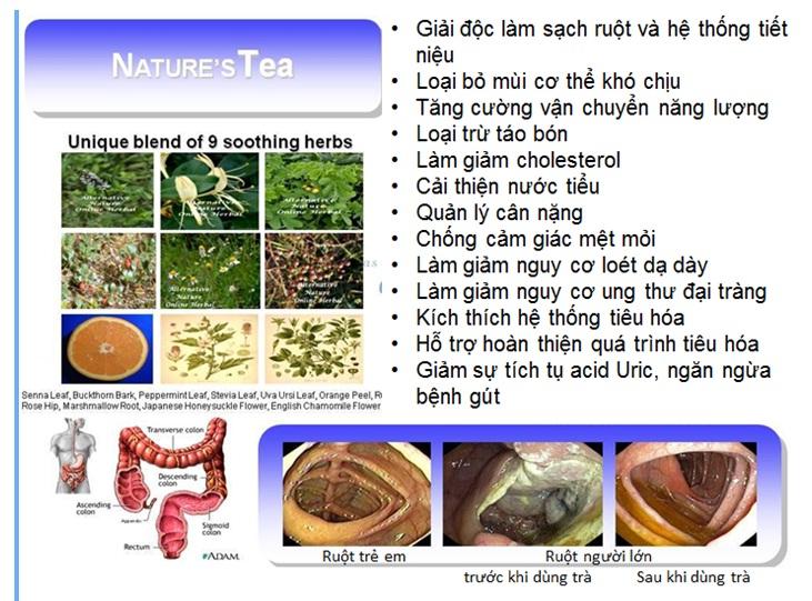 [HCM]Trà thải độc ruột giúp nhuận tràng