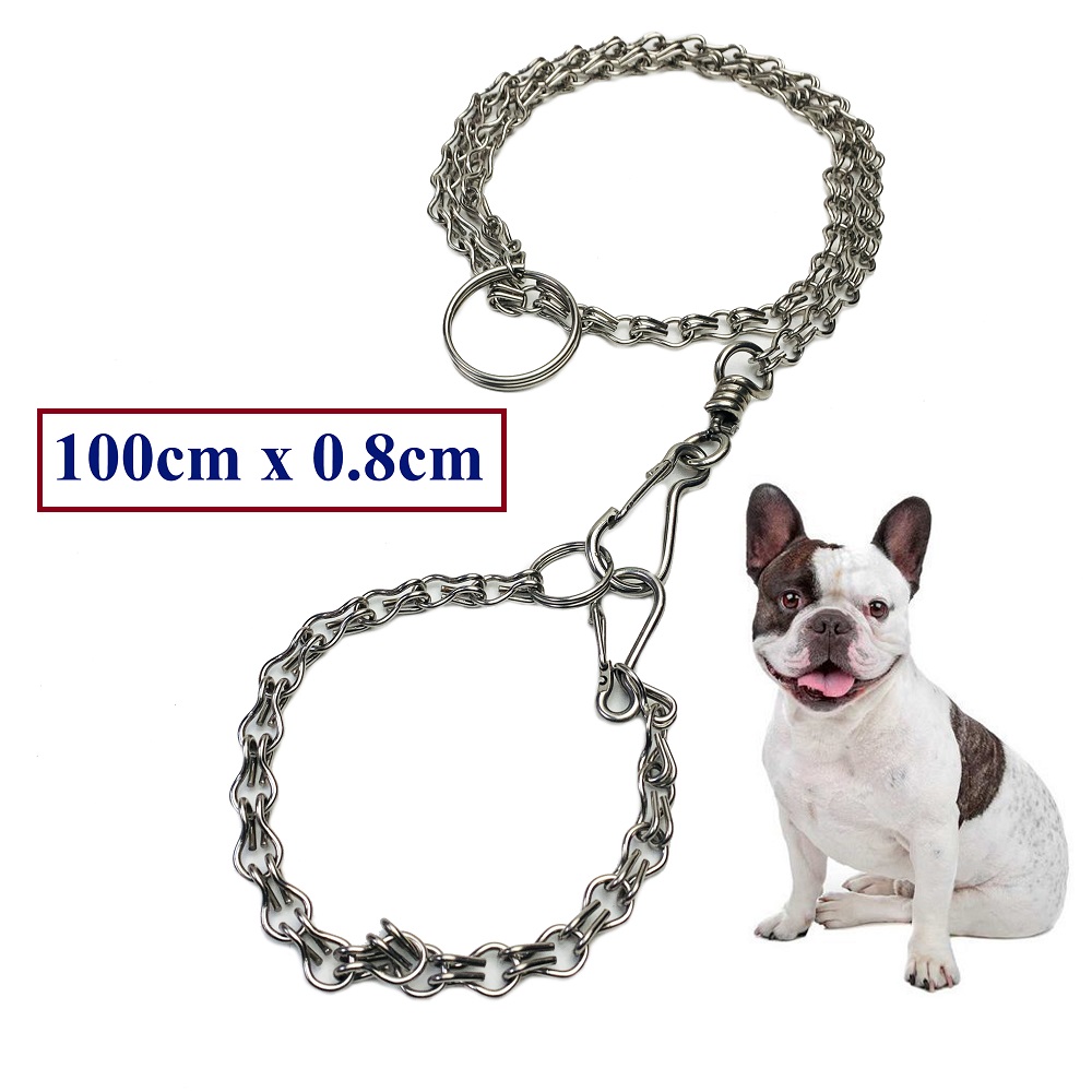 Dây xích inox dắt thú cưng kèm vòng cổ