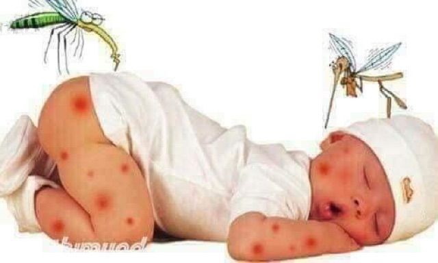 MÁY ĐUỔI MUỖI SÔNG TINH DẦU HACKER (tặng lọ tinh dầu hacker)