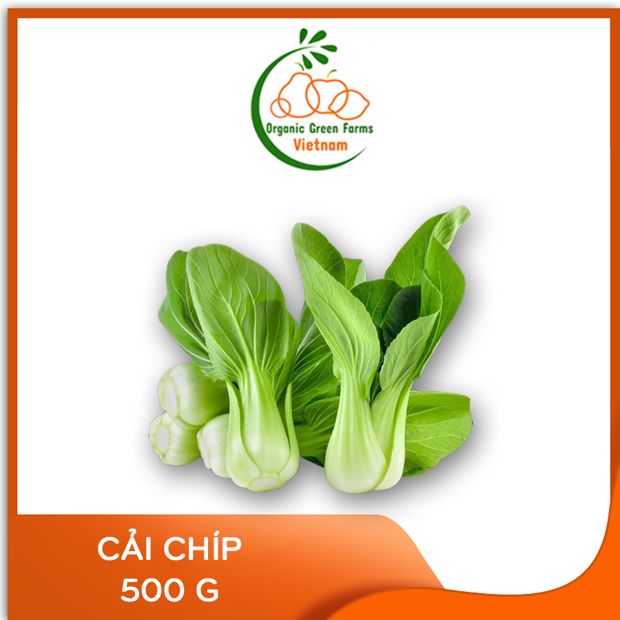 [OGF] - Cải chíp (500 g) - [Giao nhanh TPHCM]
