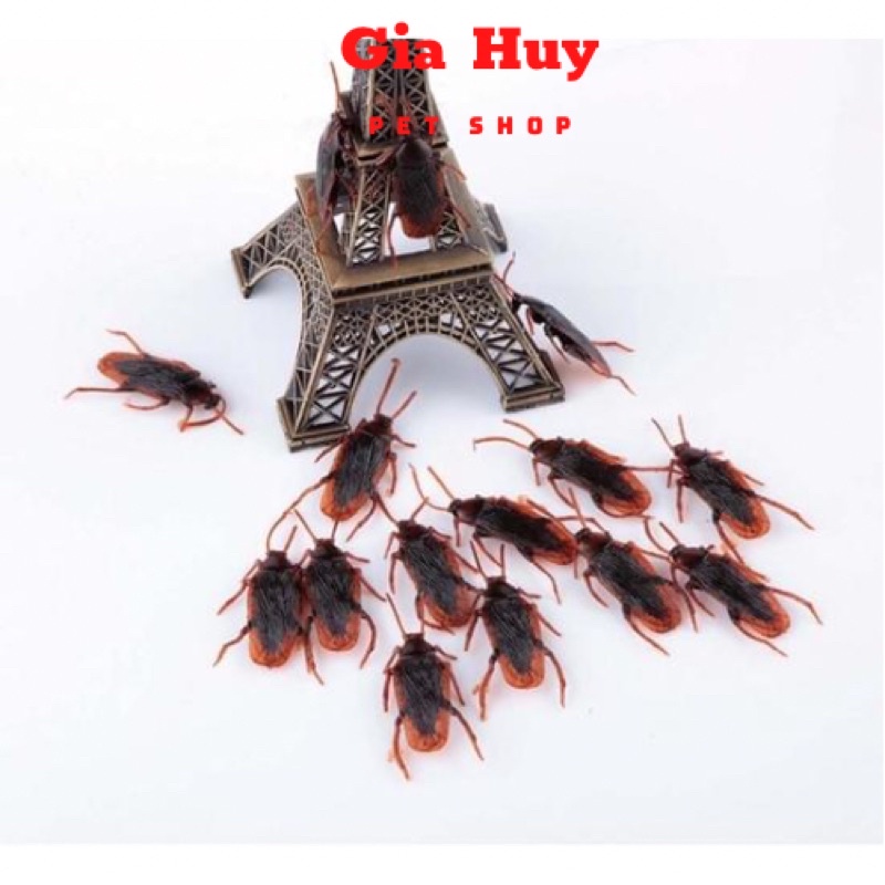 Con Gián Giả Đồ Chơi Cho Chó Mèo Cực Vui