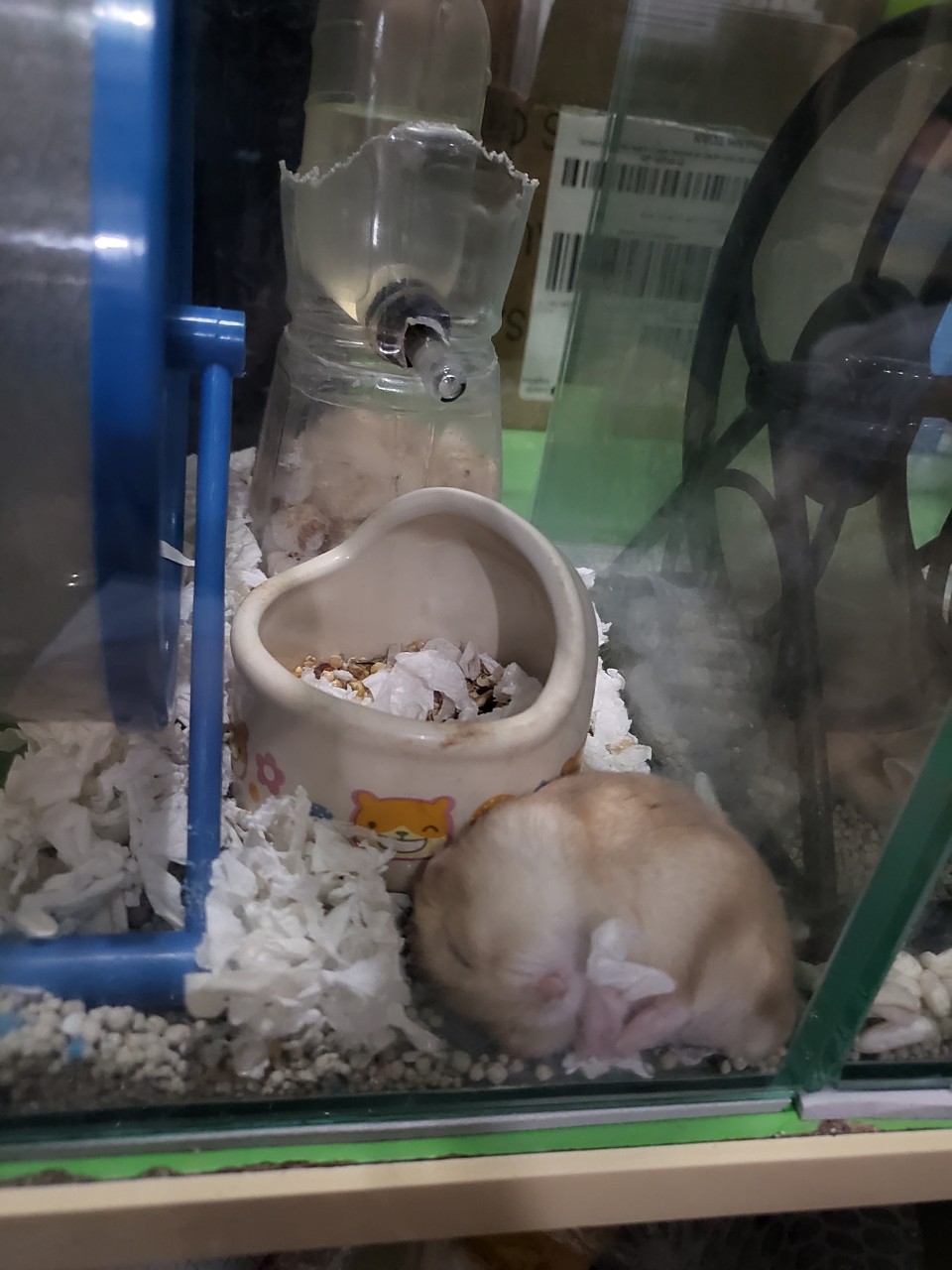 [Bịch 500gram] Thức ăn trôn dinh dưỡng cho Hamster