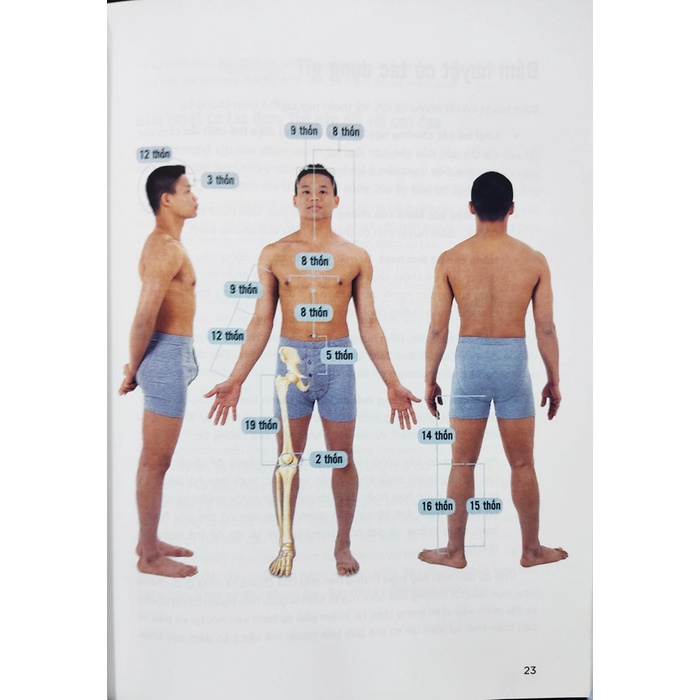 Sách Chữa Lành Cơ Thể Bằng Bấm Huyệt (TH)