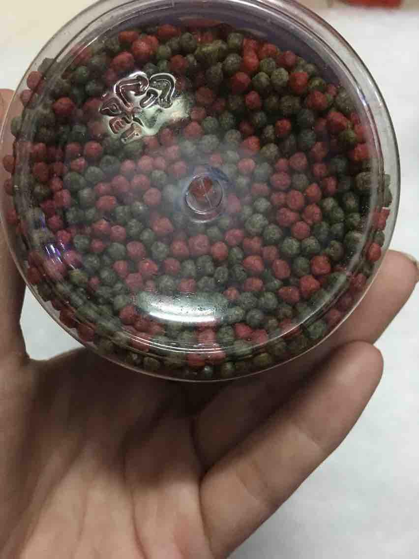 [HCM]Thức ăn cho cá Koi tăng màu nhanh 250g