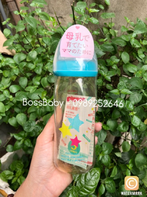Bình Pigeon Thái Lan 160Ml/240Ml