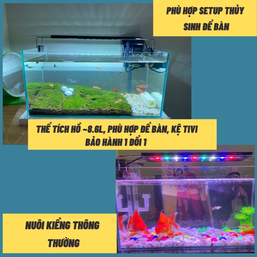Bể cá mini để bàn COMBO ĐẦY ĐỦ Hồ Lọc Đèn kèm phụ kiện