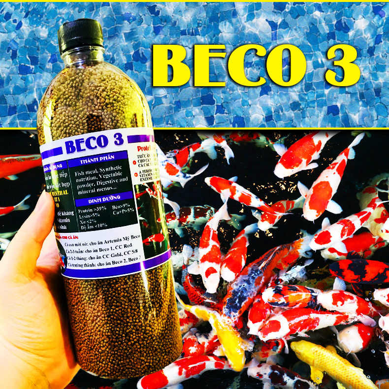 Cám Beco 3 - Thức ăn cá ba đuôi chép vàng ranchu