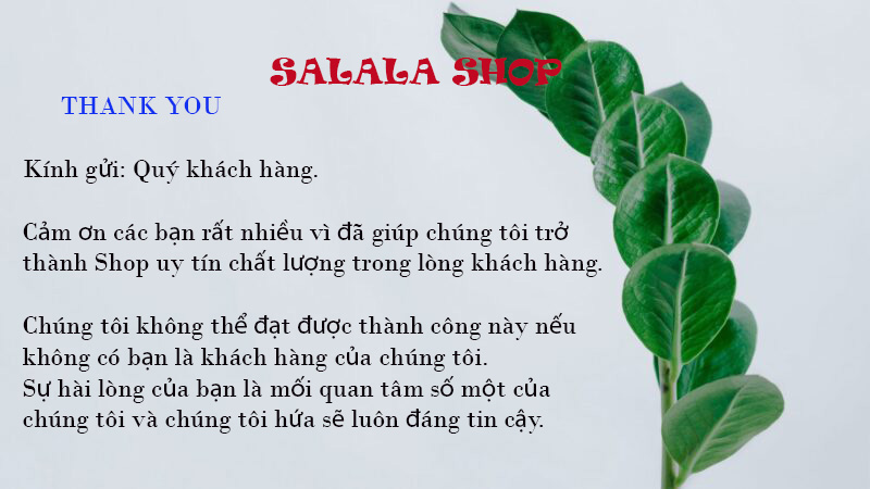 SOAP TRẦM CON ONG THÁI