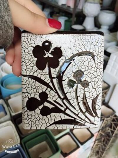 Chậu cây tiểu cảnh