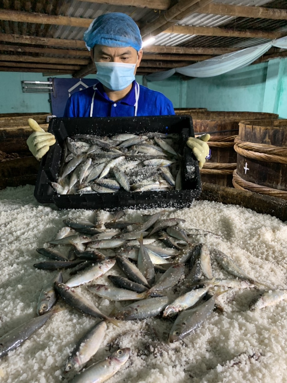 Nước mắm ca Nục Lê Gia can 2L