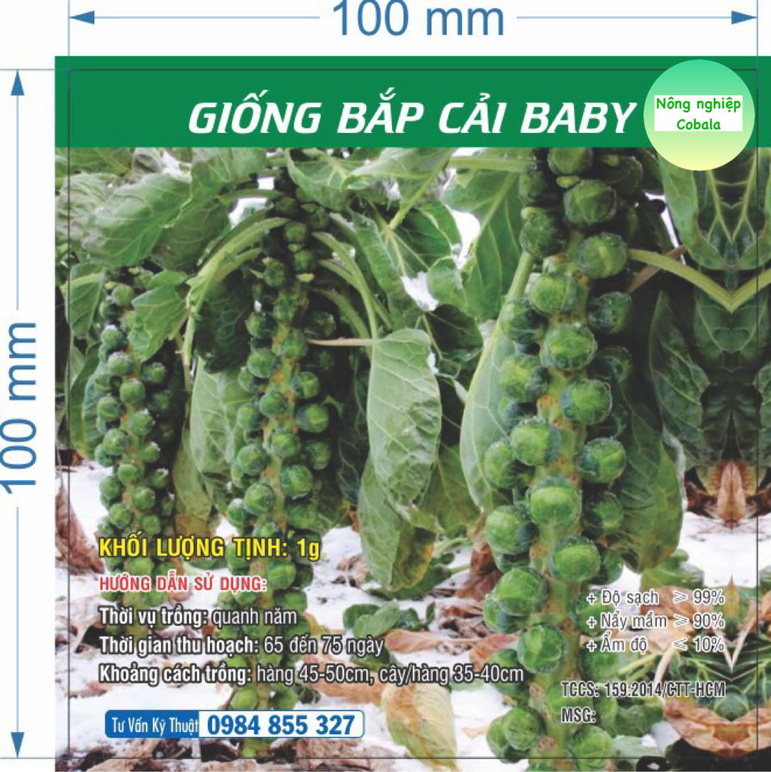 Hạt Giống Bắp Cải Baby (Bắp Cải Tí Hon) 1gr