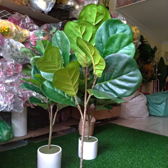 Cây bàng giả cảnh cao 1,1met
