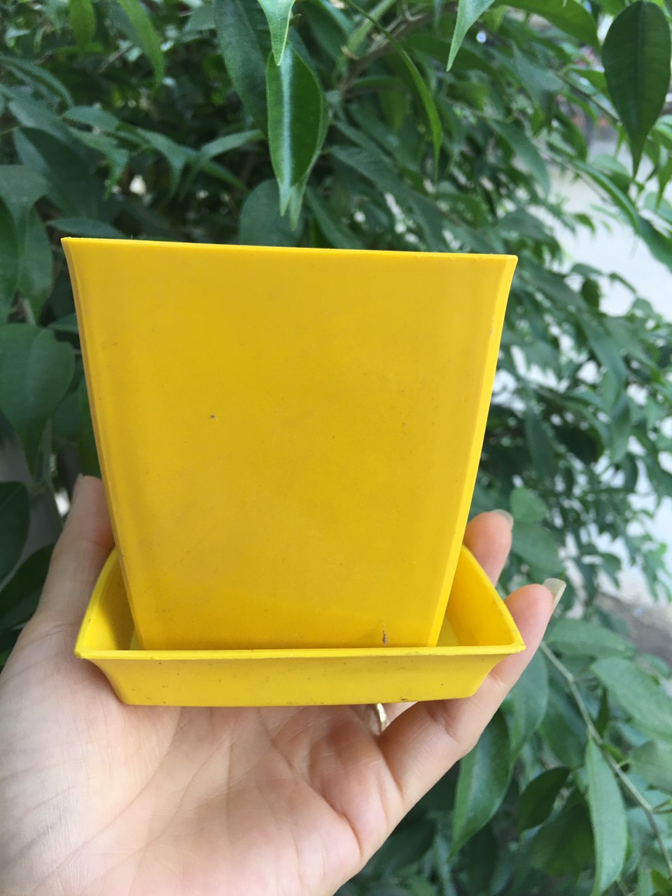 Combo 3 chậu nhựa vuông trồng cây cao cấp V9 kèm đĩa lót chậu