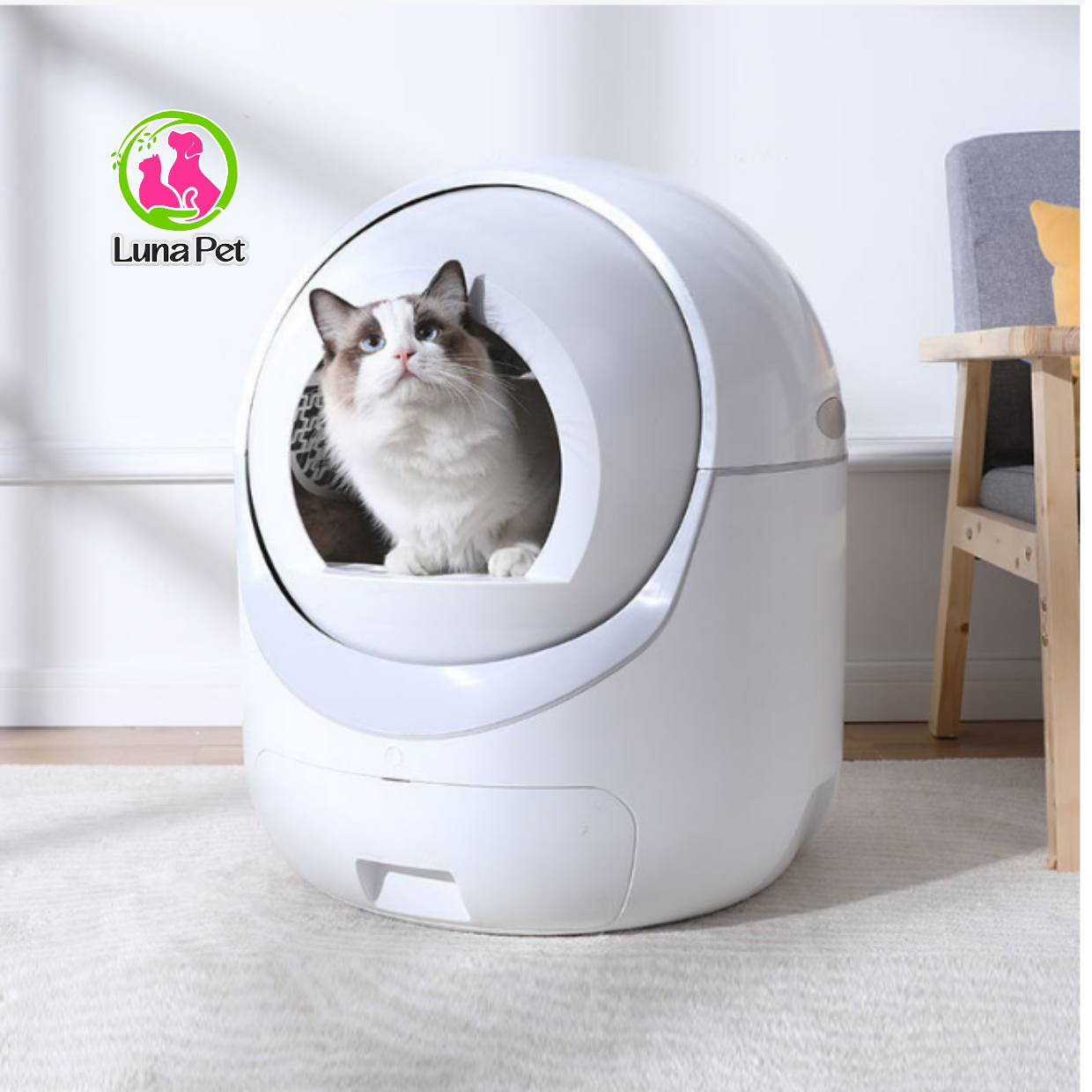 Máy dọn phân mèo tự động dạng nhà vệ sinh cho mèo tự động size cho mèo ...