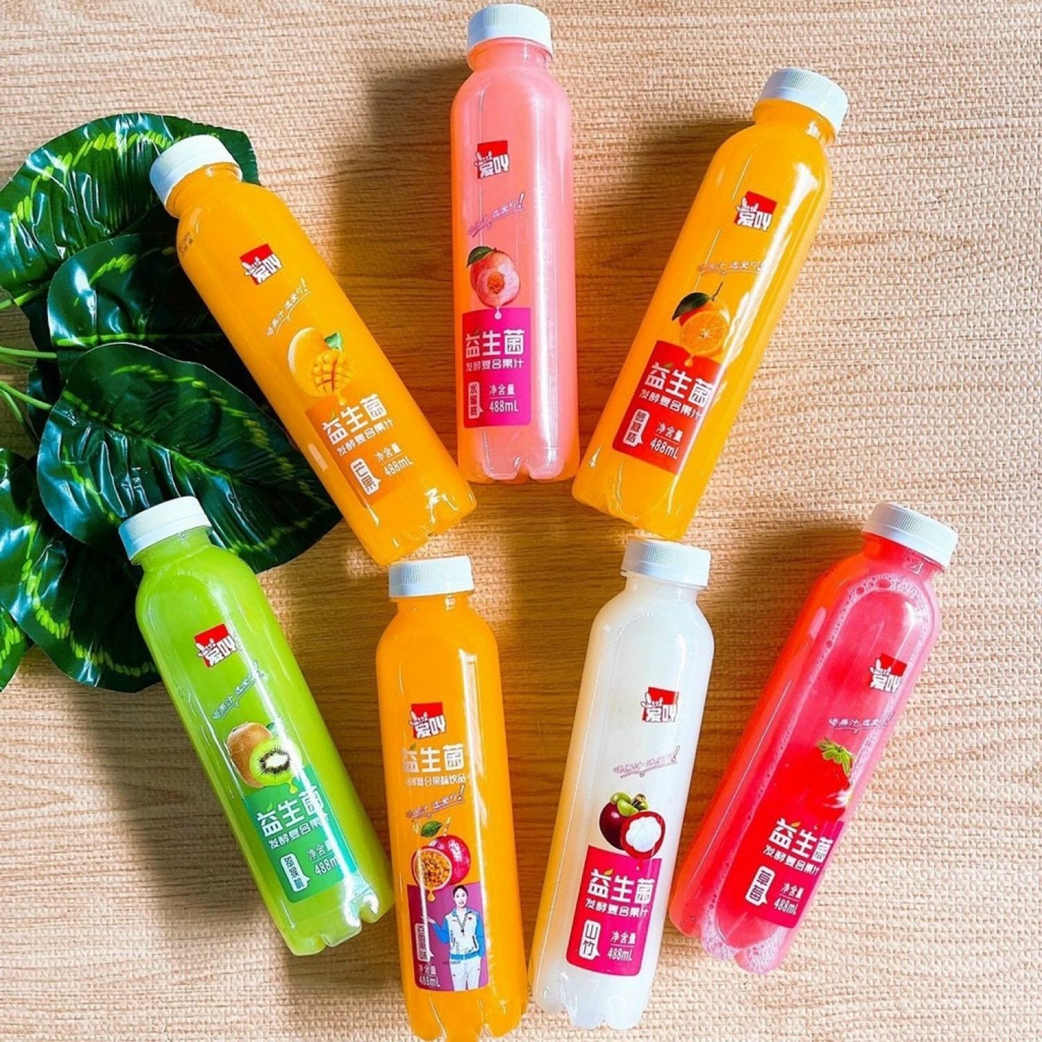 Nước ép trái cây đóng chai 488ml nhiều vị