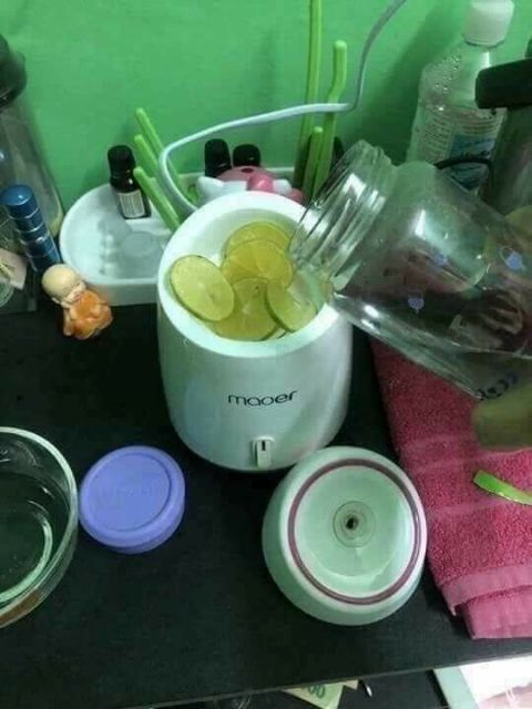 Máy xông mặt hoa quả Maoer
