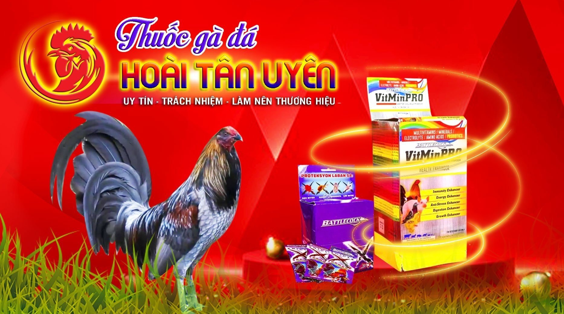 A100 tang, phù cho gà đá LỌ 7ml
