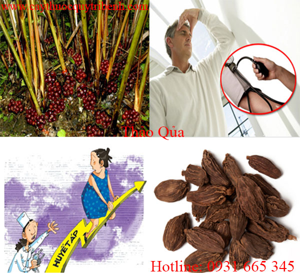 Thảo quả khô 100g hàng loại 1 - thảo dược thanh bình