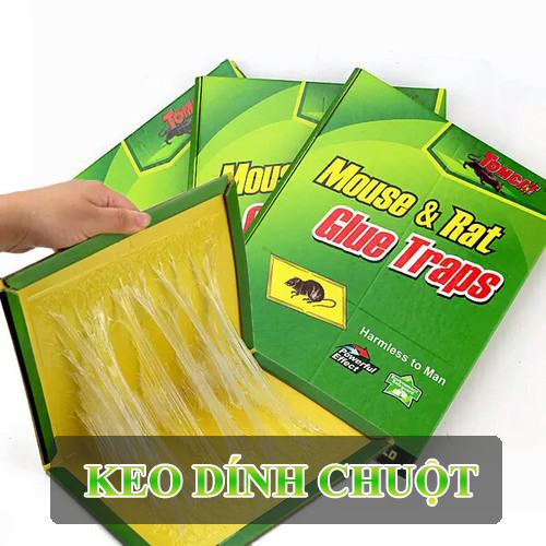 Combo 10 Miếng  Keo Dính Chuột