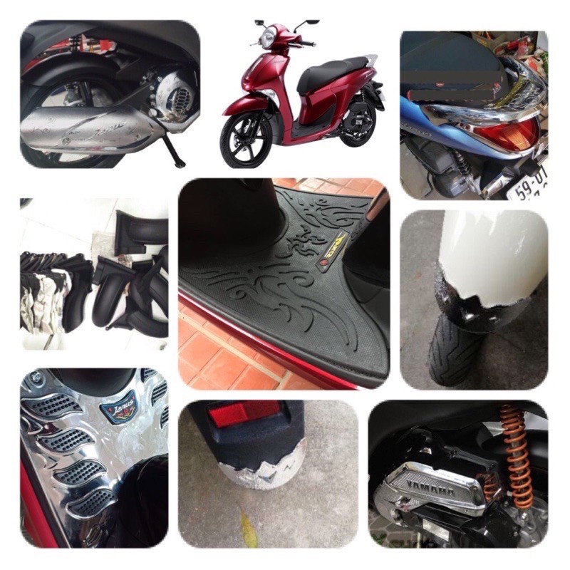 bộ ốp trang trí Janus đầy đủ(9 món)