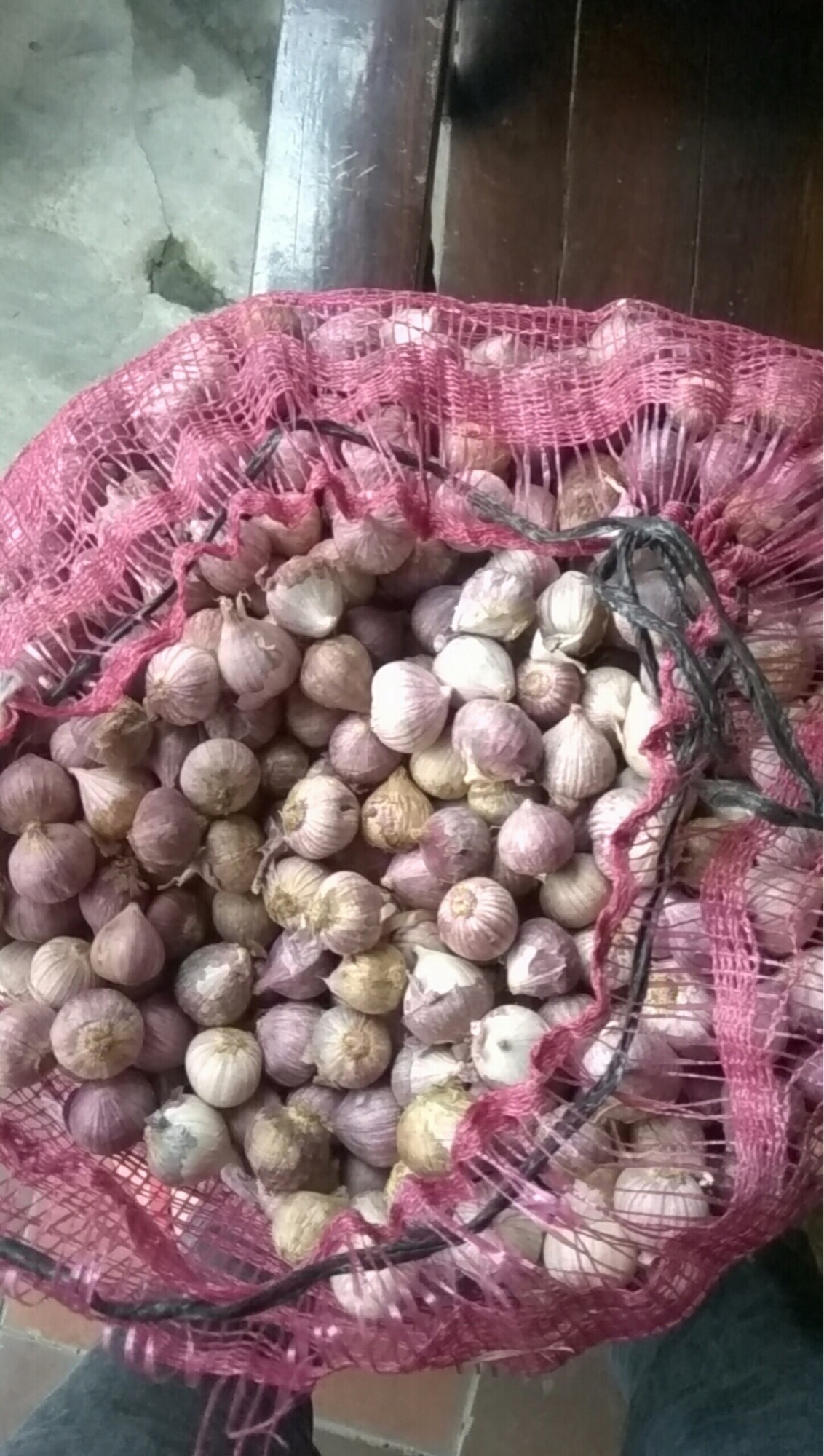 1kg tỏi cô đơn trung