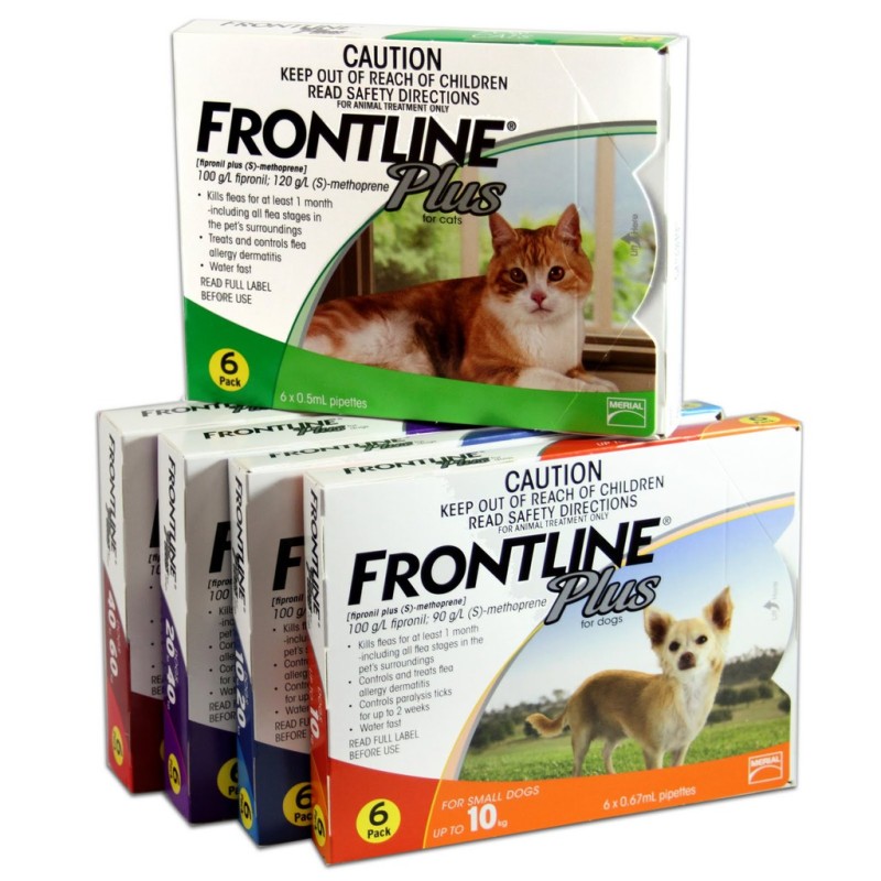 Nhỏ gáy rận FRONTLINE chó mèo(mèo)