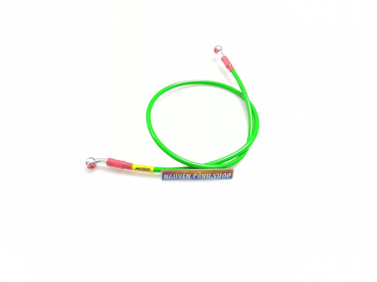 dây dầu thắng sau morin