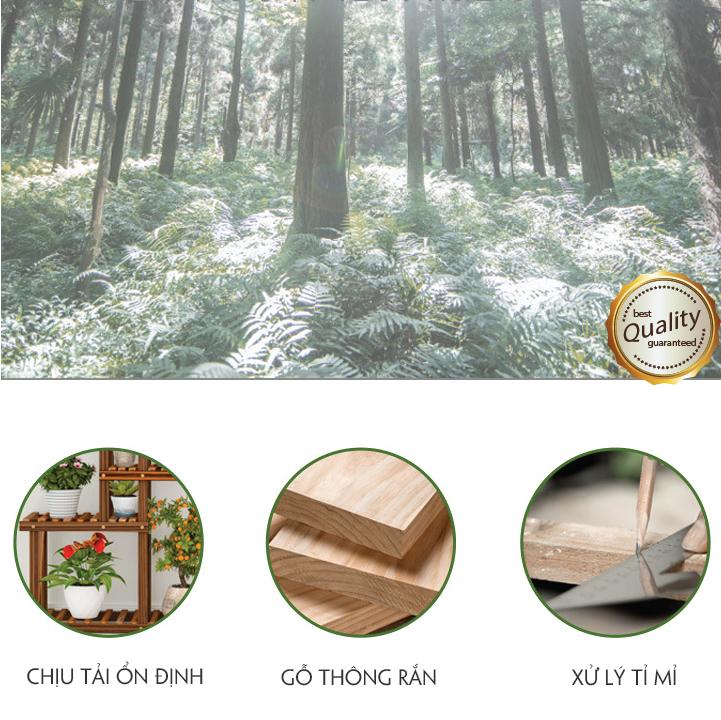 Kệ để cây cảnh trang trí sân vườn đẹp