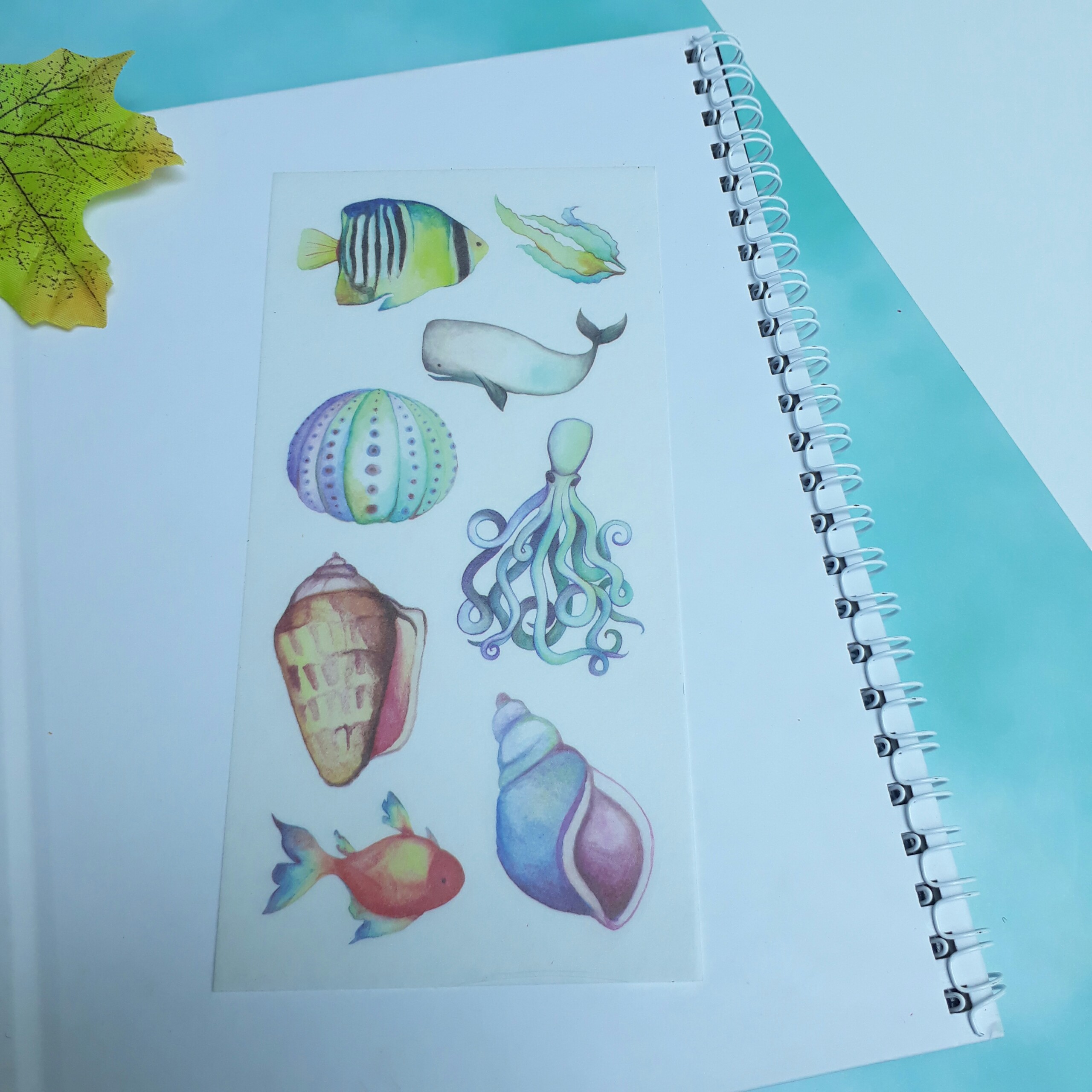 [HCM]Bộ 6 Tấm Sticker Sinh Vật Biển