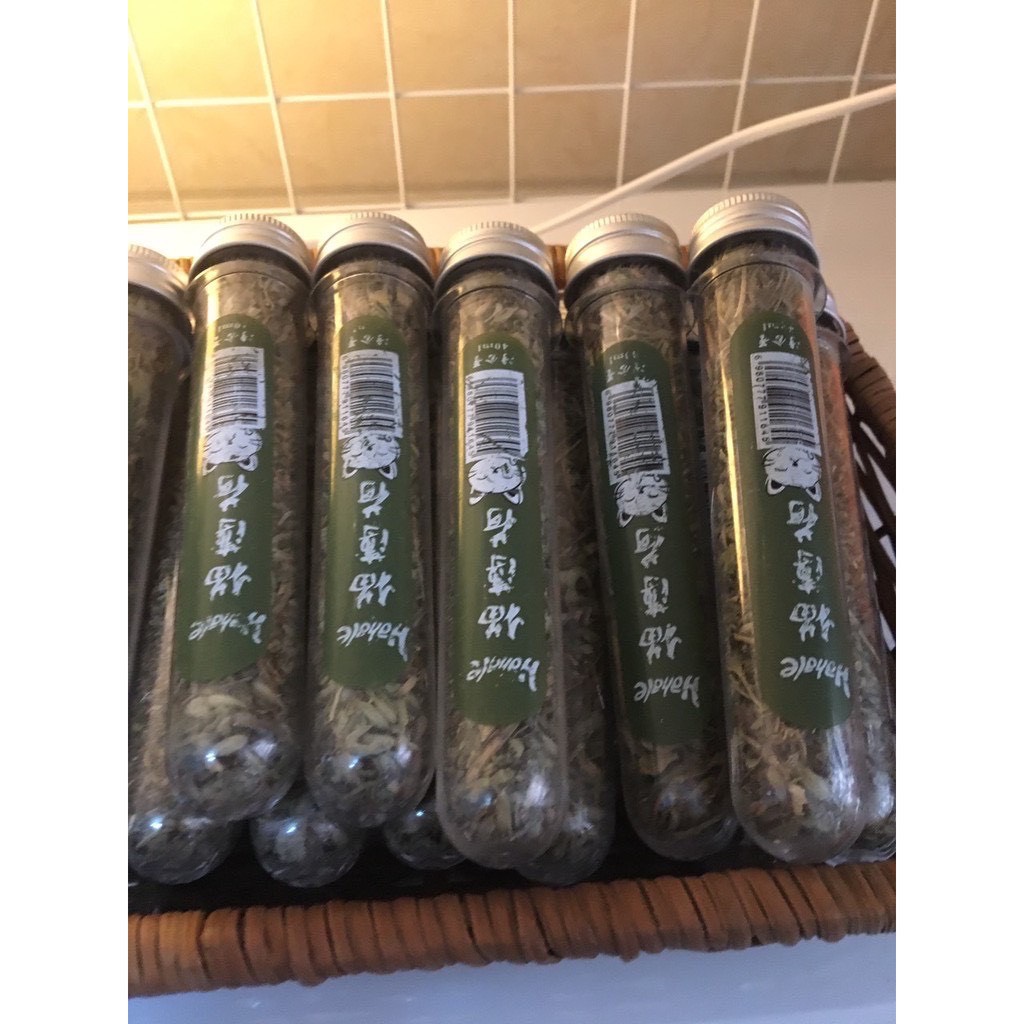 Cỏ mèo - cỏ dành cho mèo - pi pet store