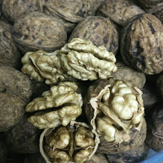 1kg quả óc chó nếp Hà Giang